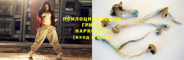 дживик Дмитриев