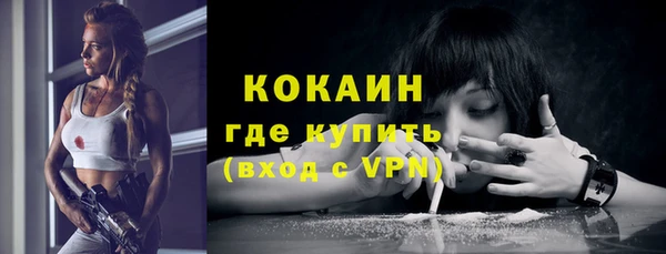 дживик Дмитриев
