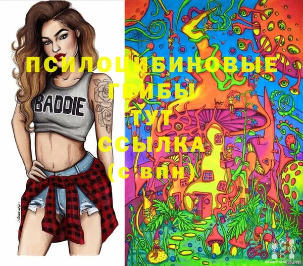 дживик Дмитриев