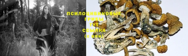 дживик Дмитриев