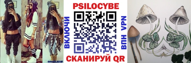 закладка  Дмитриев  Псилоцибиновые грибы ЛСД 